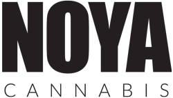 Noya logo