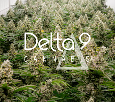 Delta-9 Cannabis supplier facility