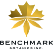 logo-benchmark.png